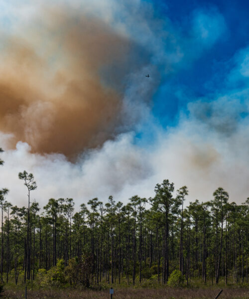 Hungryland Wildfire Martin/Palm Beach County Florida