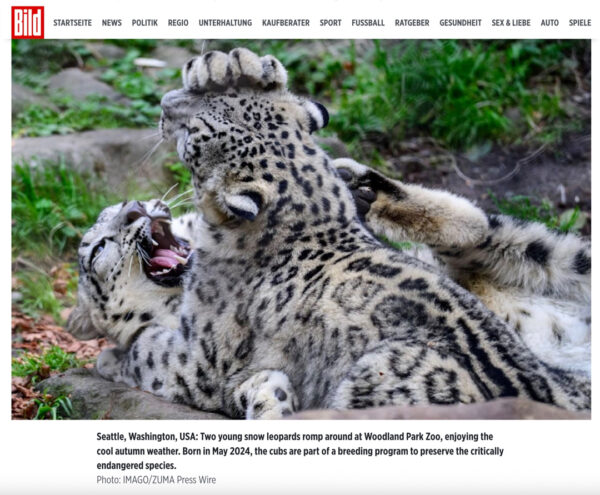 Shane_Srogi_tearsheets-16