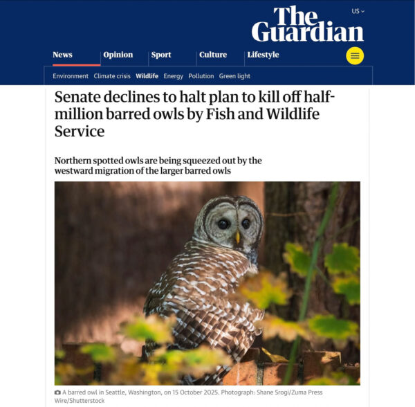 Shane_Srogi_tearsheets-2