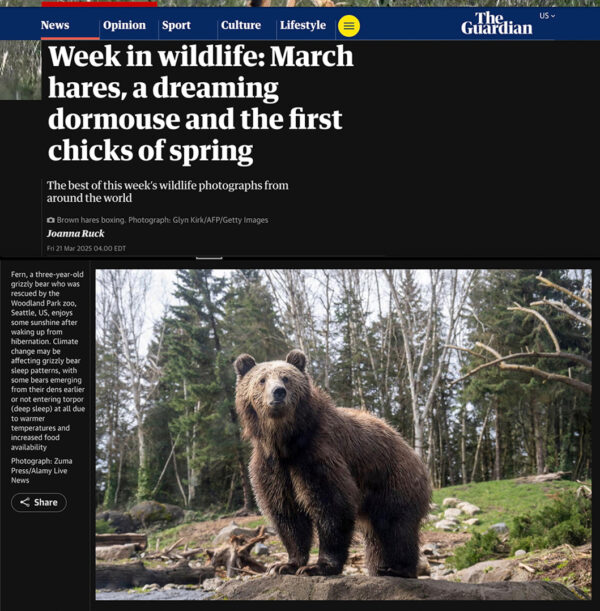 Shane_Srogi_tearsheets-3