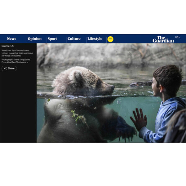 Shane_Srogi_tearsheets-4