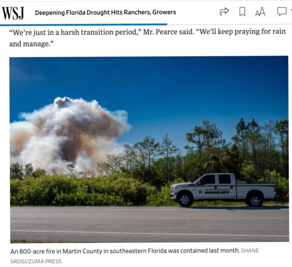 Shane_Srogi_tearsheets-5