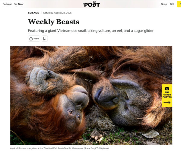 Shane_Srogi_tearsheets-9