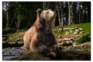 _DSC0195-Edit_21x14