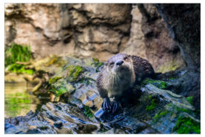 _Z6A6277-Enhanced-NR-Edit-Edit_21x14