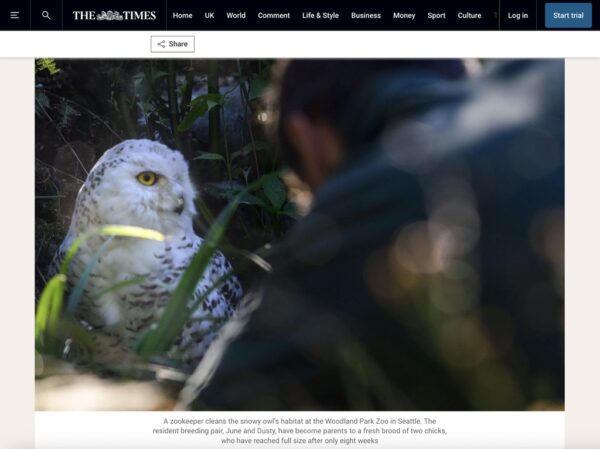 The Times - News In Pictures